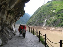 vignette N_yunnan_2006_715.jpg 