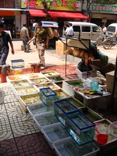 vignette N_yunnan_2006_767.jpg 